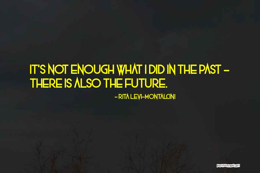 Aa Fellowship Quotes By Rita Levi-Montalcini