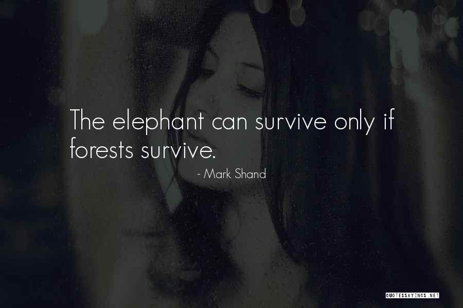 Aaaaah Quotes By Mark Shand