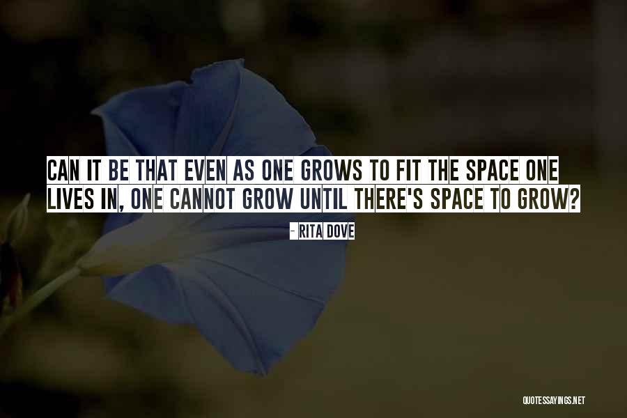 Aachener Quotes By Rita Dove Aachener Quotes By Rita Dove