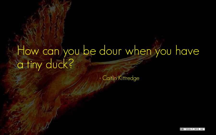 Aador Quotes By Caitlin Kittredge Aador Quotes By Caitlin Kittredge