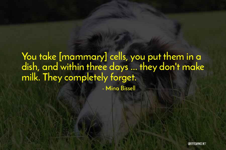 Aaii Investor Quotes By Mina Bissell Aaii Investor Quotes By Mina Bissell
