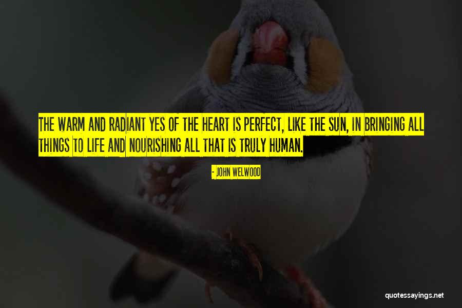 Aalapol Quotes By John Welwood Aalapol Quotes By John Welwood