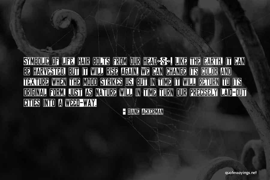 Aalaporan Quotes By Diane Ackerman Aalaporan Quotes By Diane Ackerman