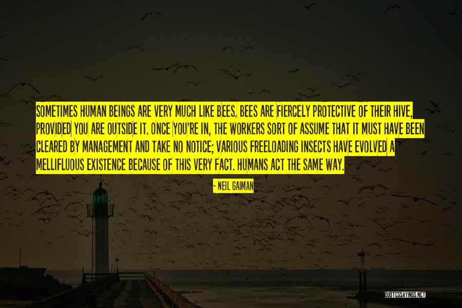 Aalburg Afbeeldingen Quotes By Neil Gaiman Aalburg Afbeeldingen Quotes By Neil Gaiman