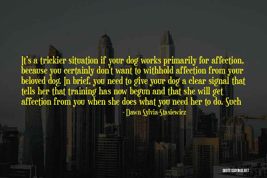 Aamas 2020 Quotes By Dawn Sylvia-Stasiewicz Aamas 2020 Quotes By Dawn Sylvia-Stasiewicz