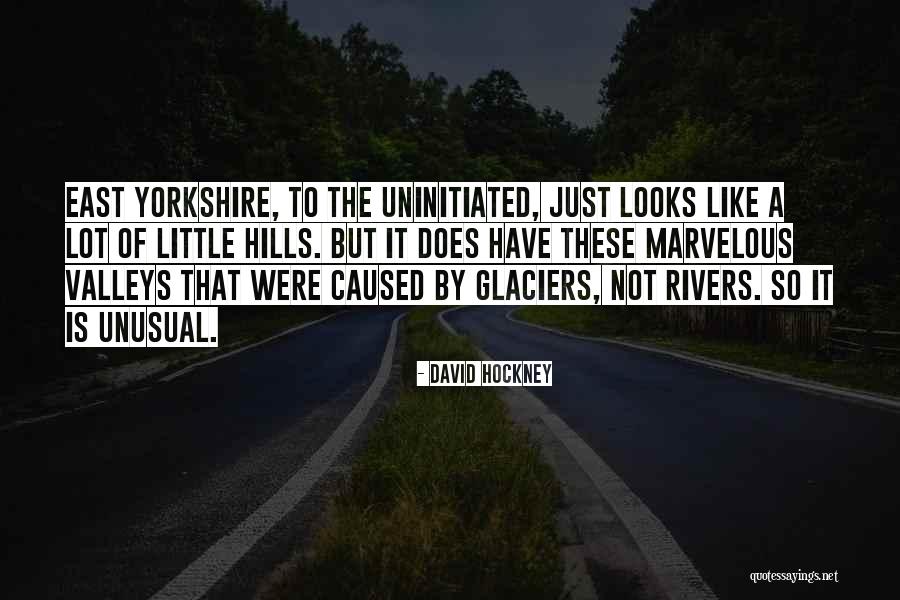 Aanenson Properties Quotes By David Hockney Aanenson Properties Quotes By David Hockney