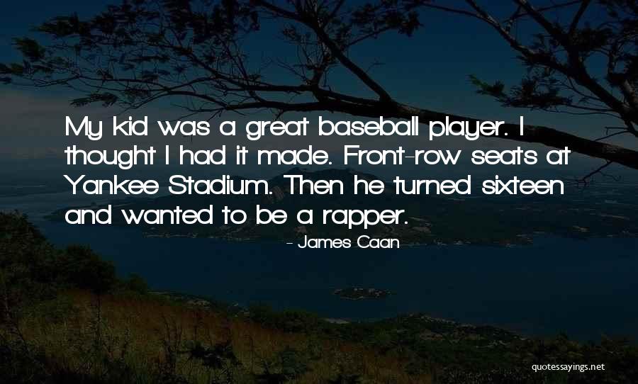 Aanisa Quotes By James Caan Aanisa Quotes By James Caan