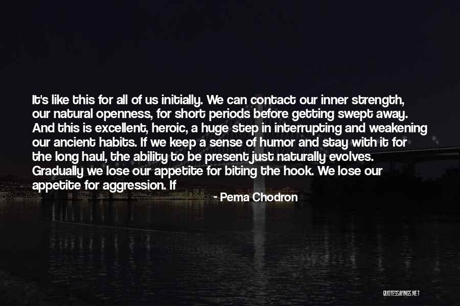 Aankhe Quotes By Pema Chodron Aankhe Quotes By Pema Chodron