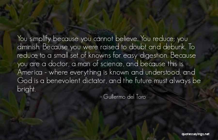 Aanslagen Quotes By Guillermo Del Toro