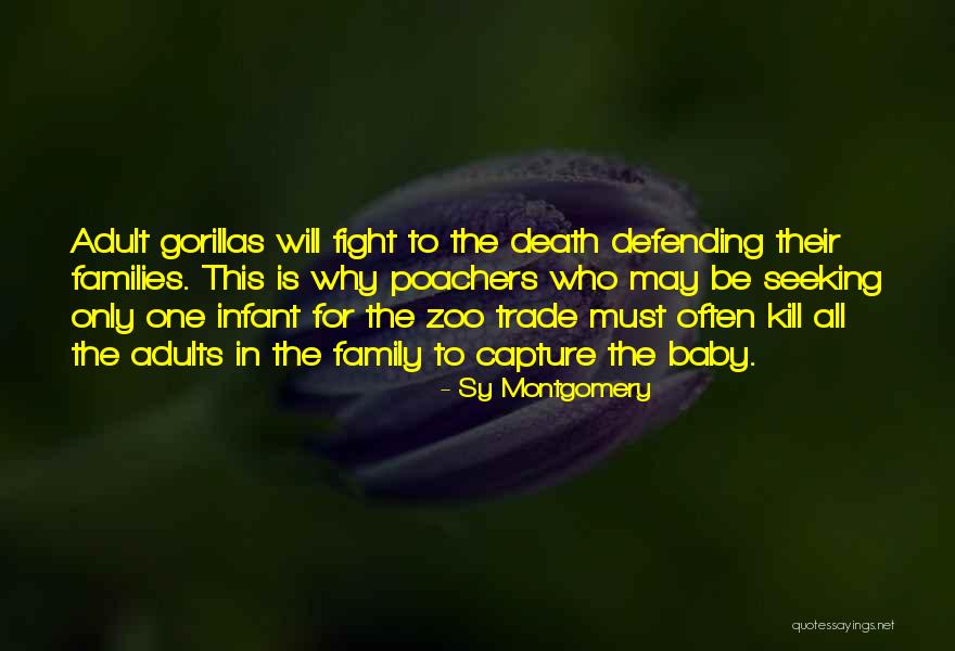 Aarati Malliah Quotes By Sy Montgomery Aarati Malliah Quotes By Sy Montgomery