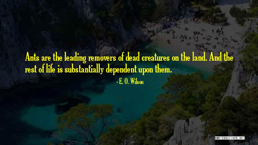 Aardse Kleuren Quotes By E. O. Wilson Aardse Kleuren Quotes By E. O. Wilson