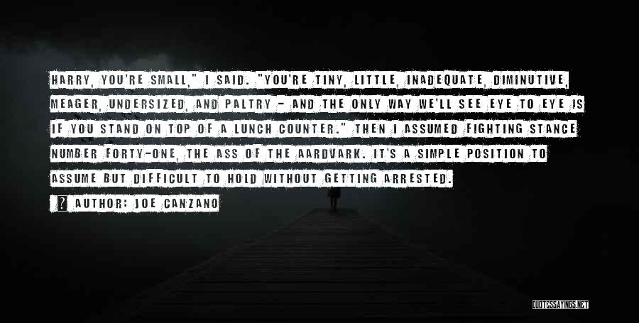 Aardvark Quotes By Joe Canzano