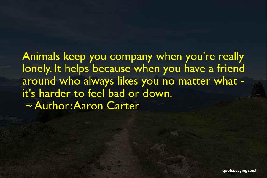 Aaron Carter Quotes 659904
