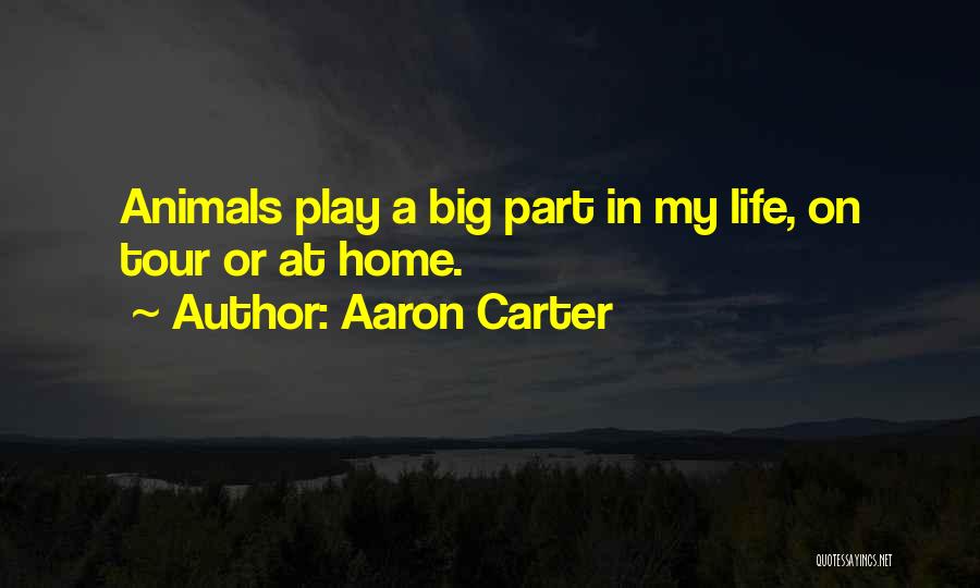 Aaron Carter Quotes 957912