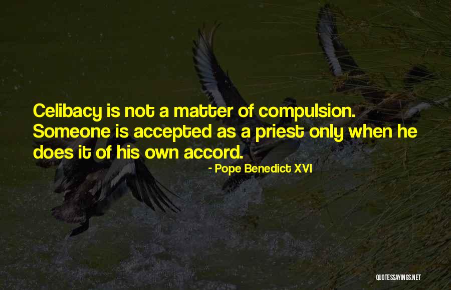 Aaron Hallam Quotes By Pope Benedict XVI