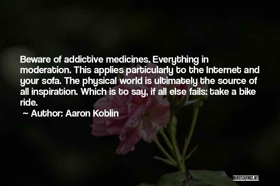 Aaron Koblin Quotes 510719