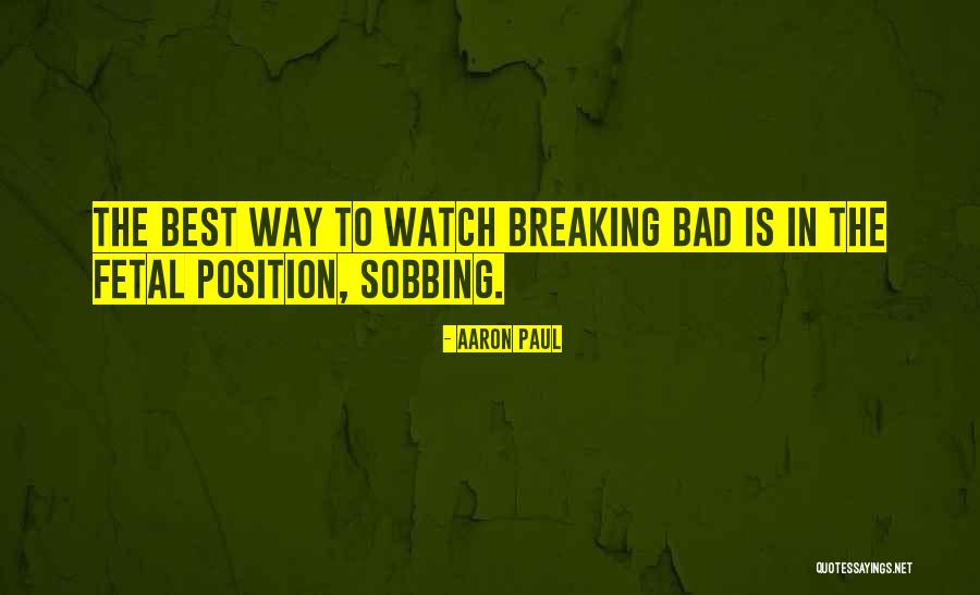 Aaron Paul Quotes 416645 Aaron Paul Quotes 416645