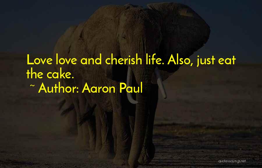 Aaron Paul Quotes 613617