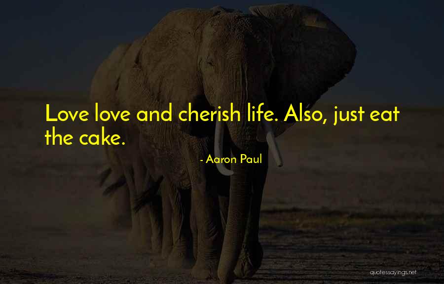 Aaron Paul Quotes 613617 Aaron Paul Quotes 613617