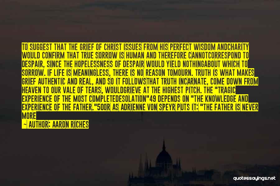 Aaron Riches Quotes 1613042