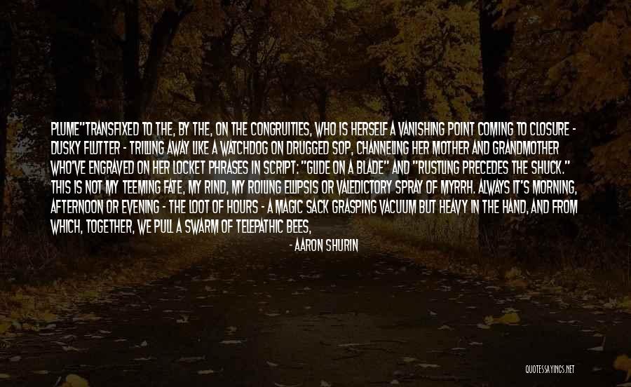 Aaron Shurin Quotes 1595979