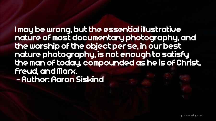 Aaron Siskind Quotes 2185042