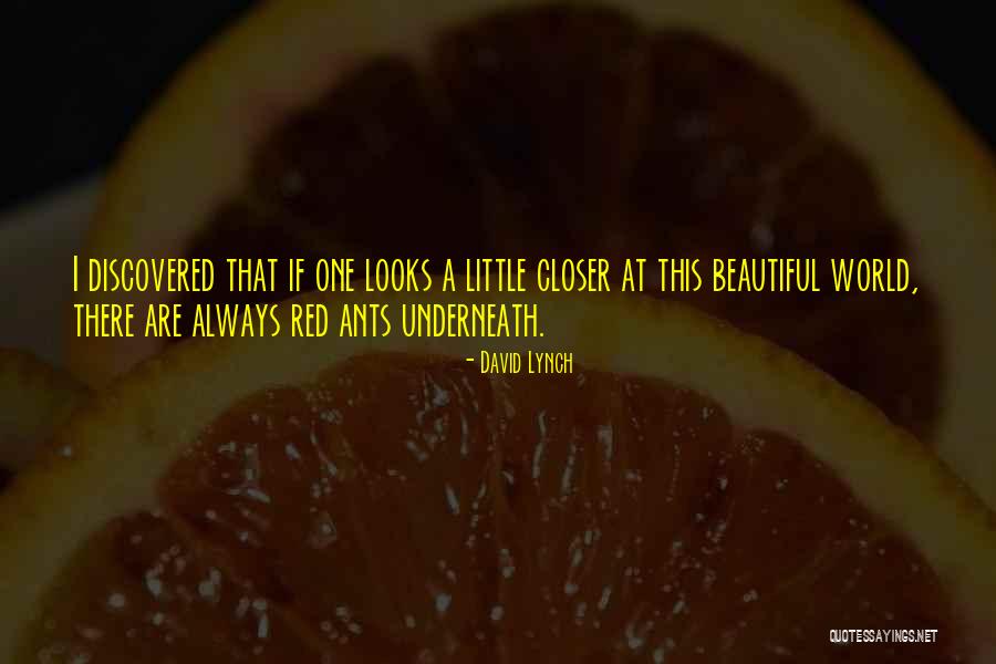 Aashish Patel Quotes By David Lynch Aashish Patel Quotes By David Lynch