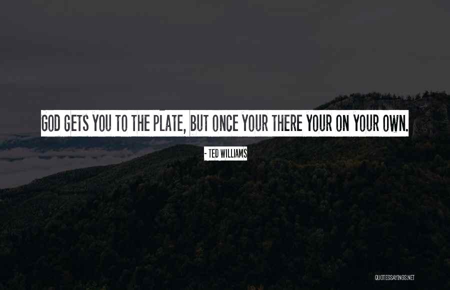 Aastaaruande Quotes By Ted Williams Aastaaruande Quotes By Ted Williams