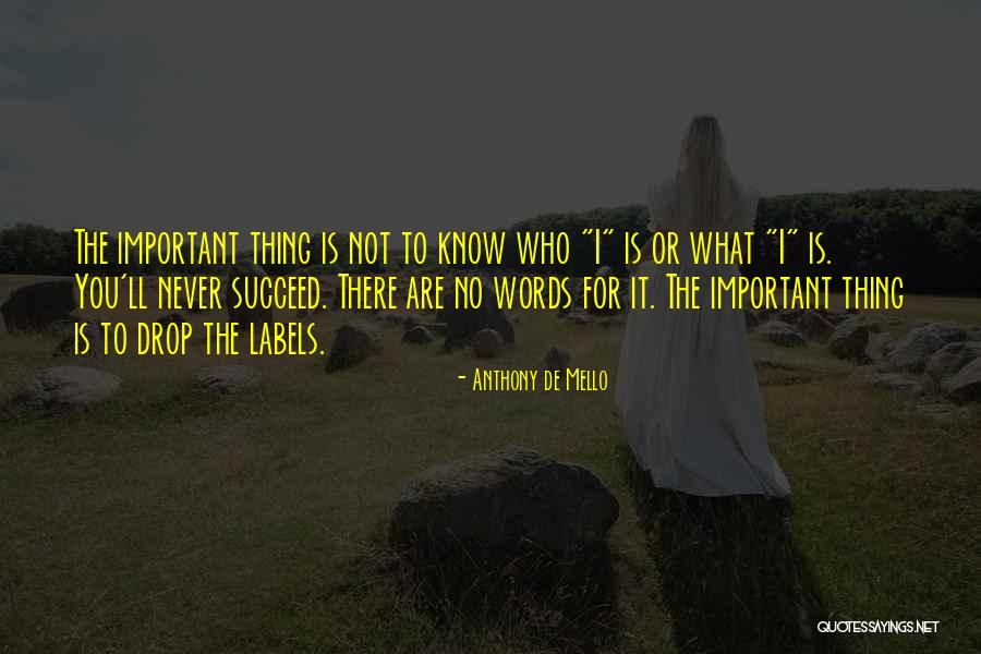 Abair Lavery Quotes By Anthony De Mello Abair Lavery Quotes By Anthony De Mello