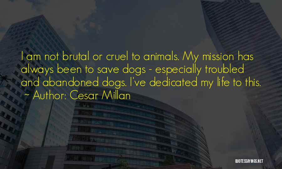Abandoned Animals Quotes By Cesar Millan