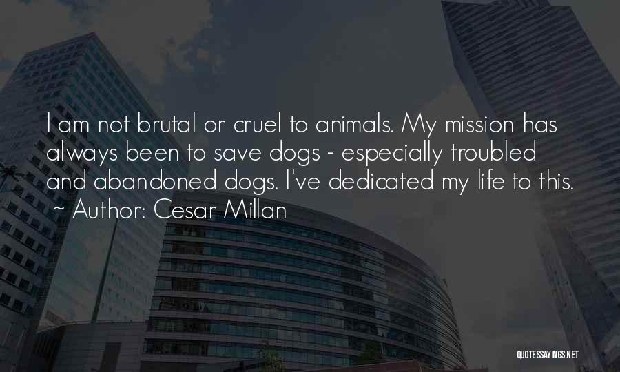 Abandoned Dogs Quotes By Cesar Millan