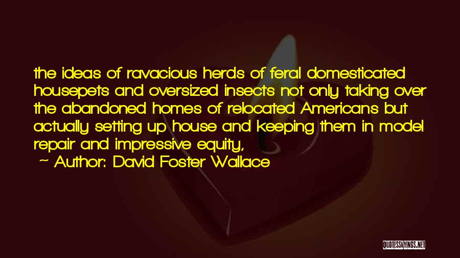 Abandoned Homes Quotes By David Foster Wallace