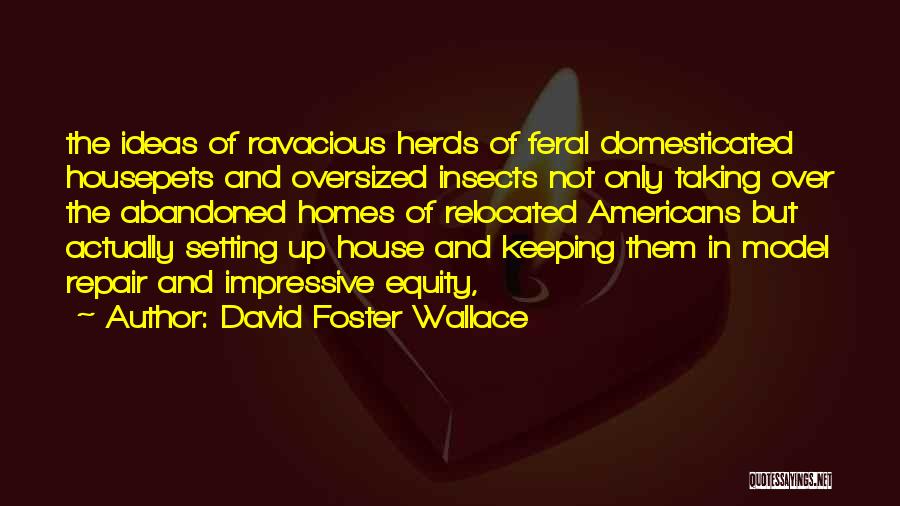 Abandoned House Quotes By David Foster Wallace