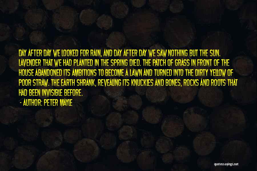 Abandoned House Quotes By Peter Mayle