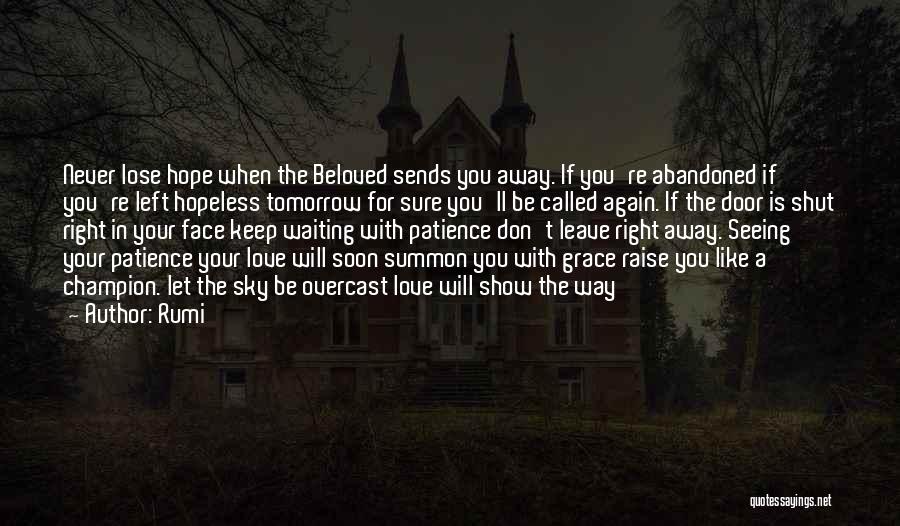 Abandoned Love Quotes By Rumi