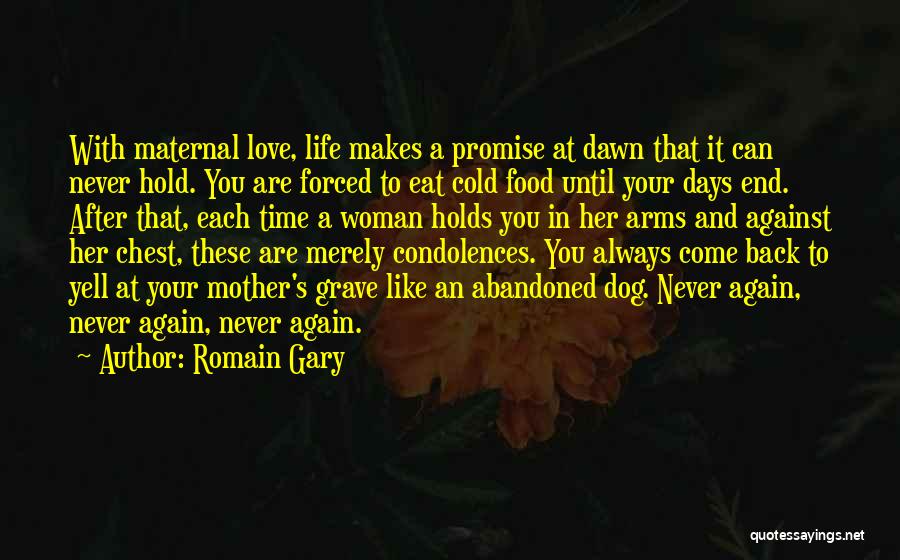 Abandoned Mother Quotes By Romain Gary