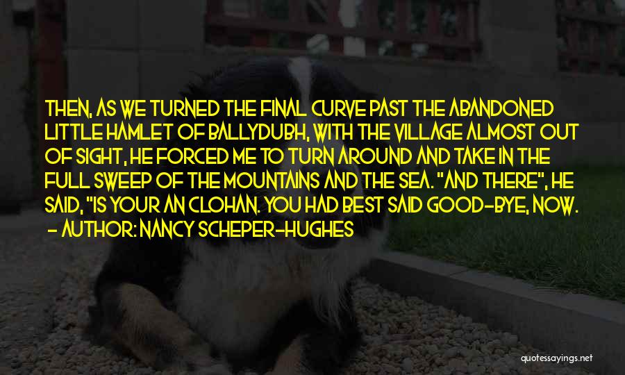 Abandoned Quotes By Nancy Scheper-Hughes
