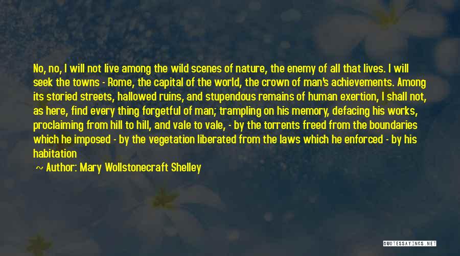 Abandoned Towns Quotes By Mary Wollstonecraft Shelley