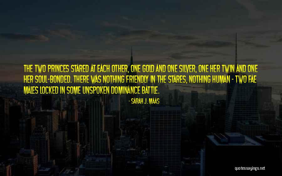 Abarca Sinonimo Quotes By Sarah J. Maas Abarca Sinonimo Quotes By Sarah J. Maas