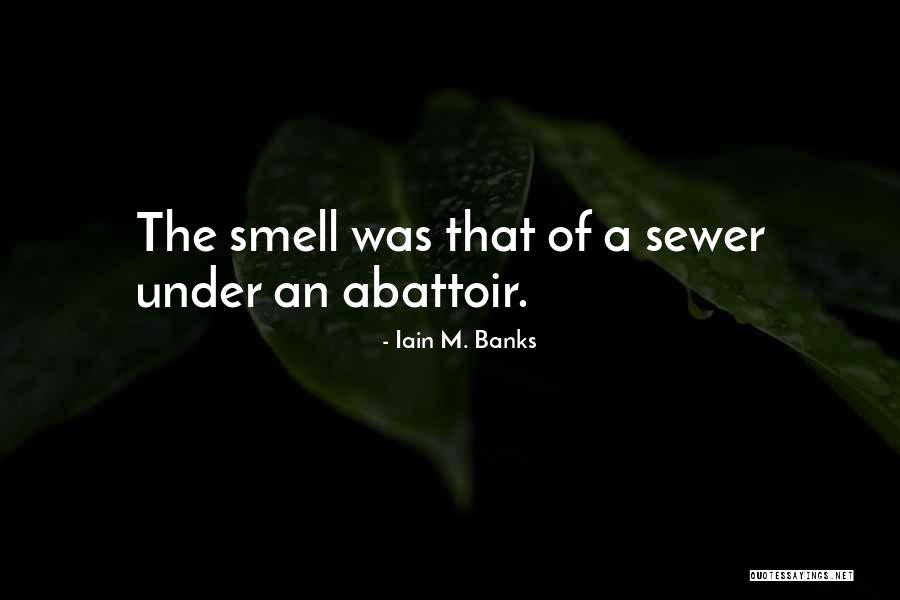 Abattoir Quotes By Iain M. Banks