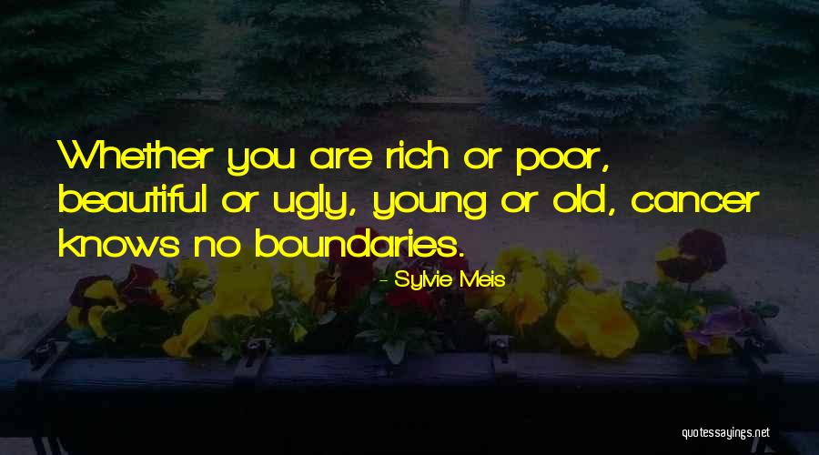 Abattre Un Quotes By Sylvie Meis Abattre Un Quotes By Sylvie Meis