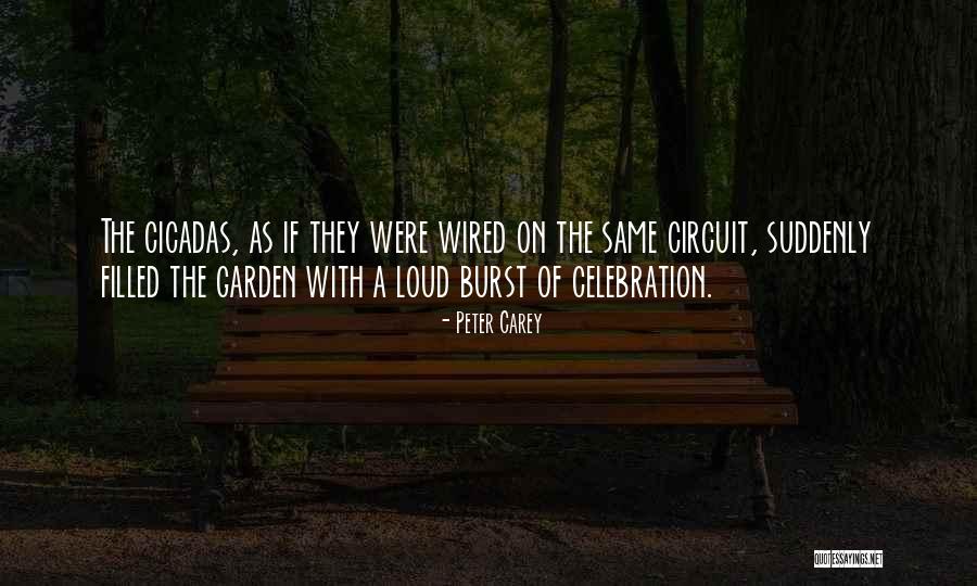 Abballah Quotes By Peter Carey Abballah Quotes By Peter Carey