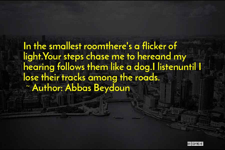 Abbas Beydoun Quotes 1408585