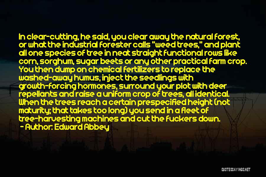 Abbey Quotes By Edward Abbey