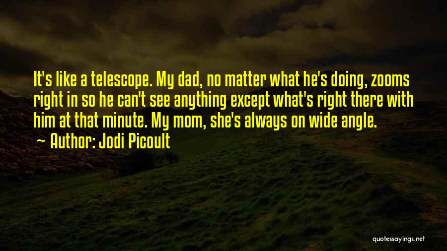 Abbeys Flooring Quotes By Jodi Picoult