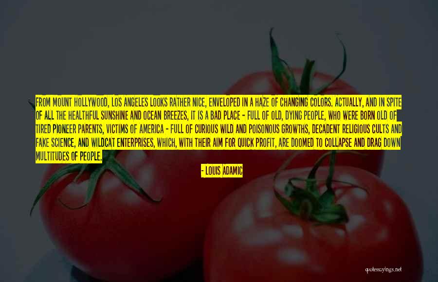 Abbeys Nutrition Quotes By Louis Adamic Abbeys Nutrition Quotes By Louis Adamic