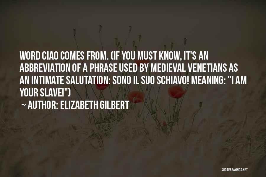 Abbreviation Quotes By Elizabeth Gilbert