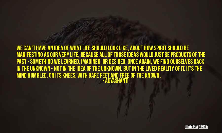 Abbudin Quotes By Adyashanti Abbudin Quotes By Adyashanti