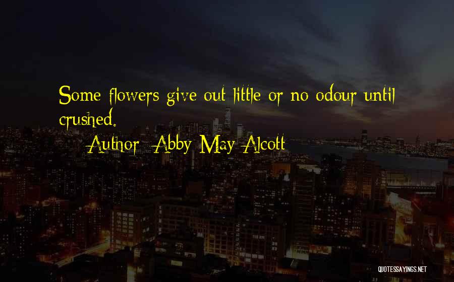 Abby May Alcott Quotes 362722