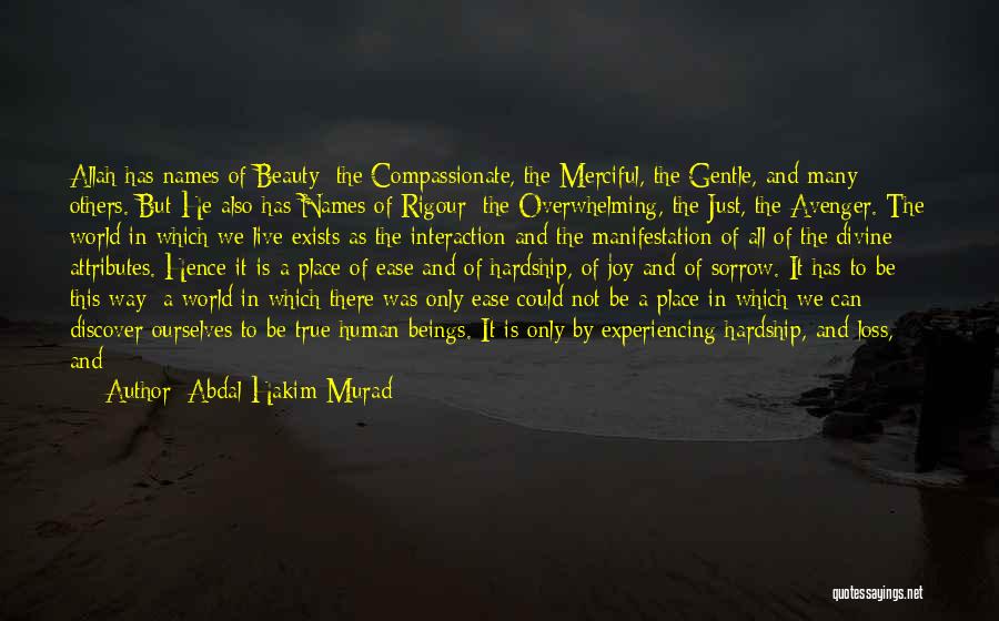 Abdal Hakim Murad Quotes 2113467